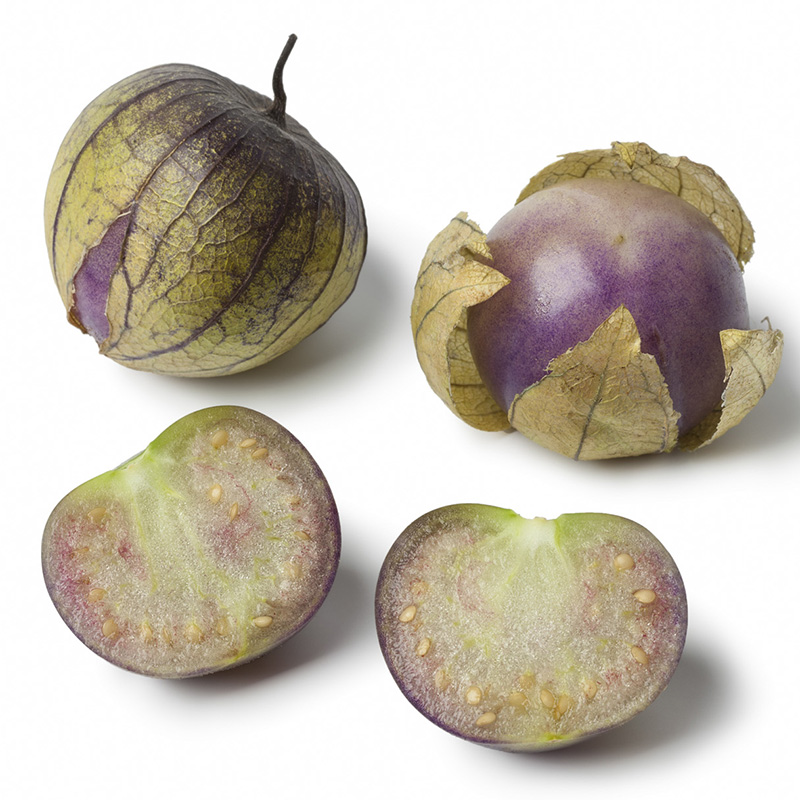 Solanum lycopersicum - Tomatillo Purple