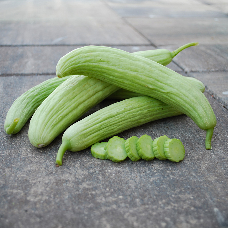 Armeense komkommer - Armenian Pale Green - Cucumis melo 